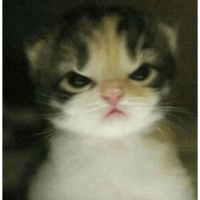 sticker image #19