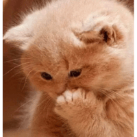sticker image #23