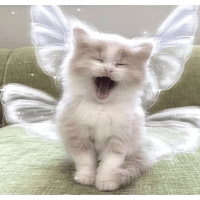 sticker image #24