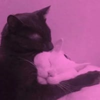 sticker image #25