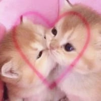 sticker image #28