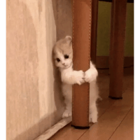 sticker image #29