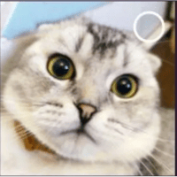 sticker image #8