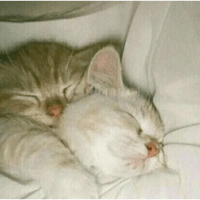 sticker image #13