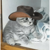 sticker image #15