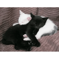 sticker image #21