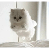 sticker image #22
