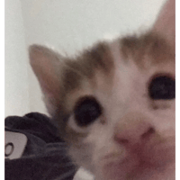 sticker image #25