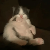 sticker image #26
