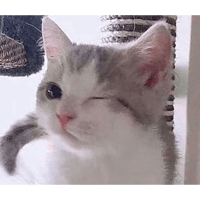 sticker image #28
