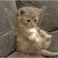 sticker image #29