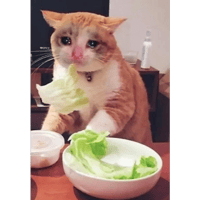 sticker image #22