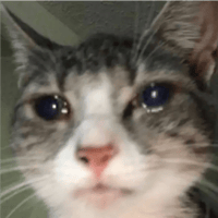 sticker image #28