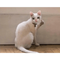 sticker image #12
