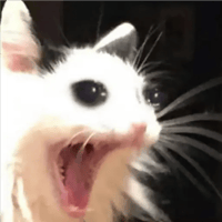 sticker image #16