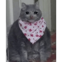 sticker image #18