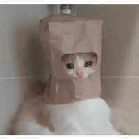 sticker image #28