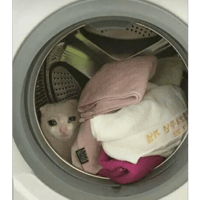 sticker image #29