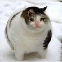 sticker image #30