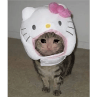 sticker image #12