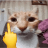 sticker image #19
