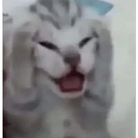 sticker image #20