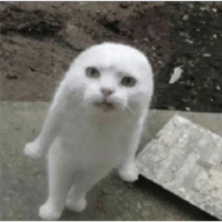 sticker image #22