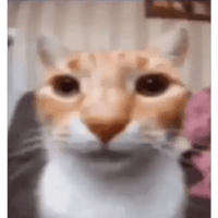 sticker image #24