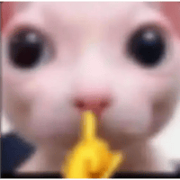 sticker image #26