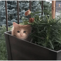 sticker image #28