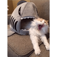 sticker image #30