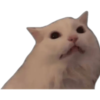 sticker image #16