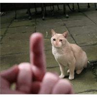 sticker image #21