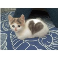 sticker image #25