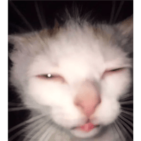 sticker image #30