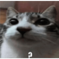 sticker image #21