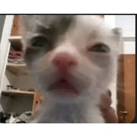 sticker image #29