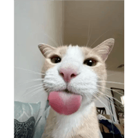 sticker image #13