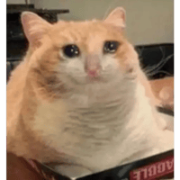 sticker image #15