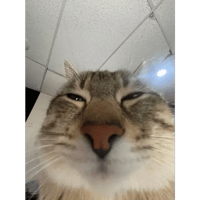 sticker image #21