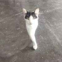 sticker image #23