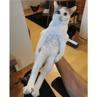 sticker image #24