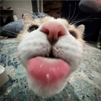 sticker image #26