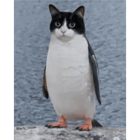 sticker image #27
