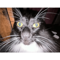 sticker image #30