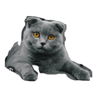 sticker image #1