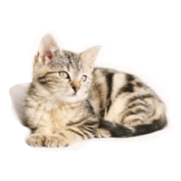 sticker image #2