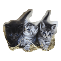 sticker image #3