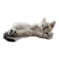 sticker image #4