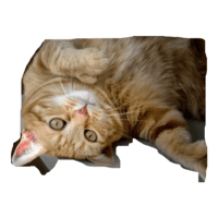 sticker image #5